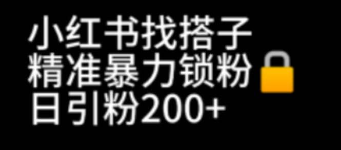 小红书找搭子暴力精准锁粉+引流日引200+精准粉插图