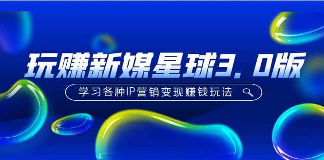 《玩赚新媒星球3.0版》学习各种IP营销变现玩法（价值498）插图