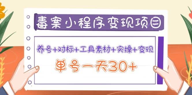 毒案小程序变现项目：养号+对标+工具素材+实操+变现插图