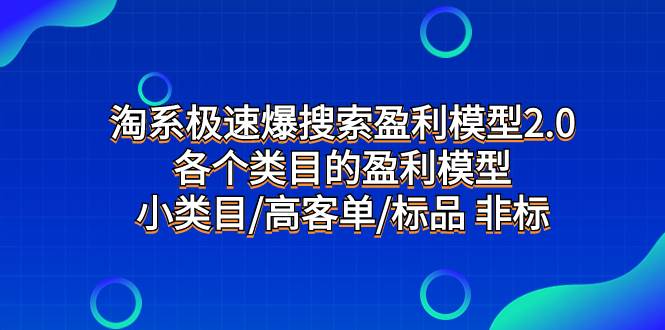 淘系极速爆搜索盈利模型2.0，各个类目的盈利模型，小类目/高客单/标品 非标插图