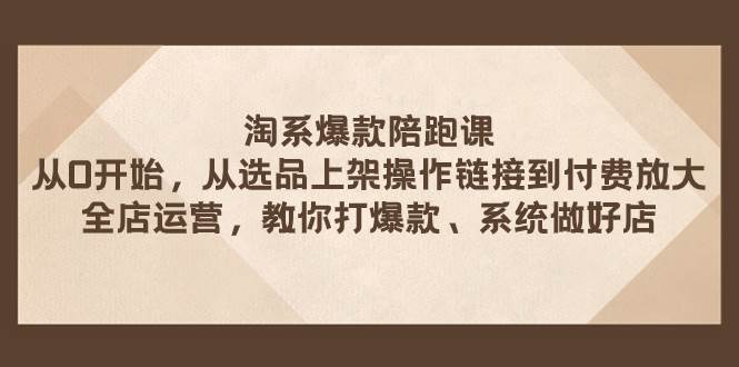 淘系爆款陪跑课 从选品上架操作链接到付费放大 全店运营 打爆款 系统做好店插图