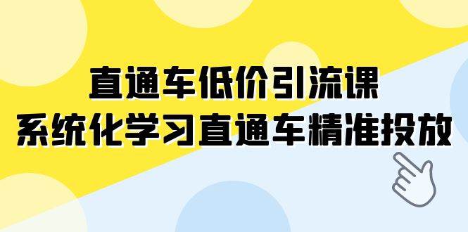 直通车-低价引流课，系统化学习直通车精准投放（14节课）插图