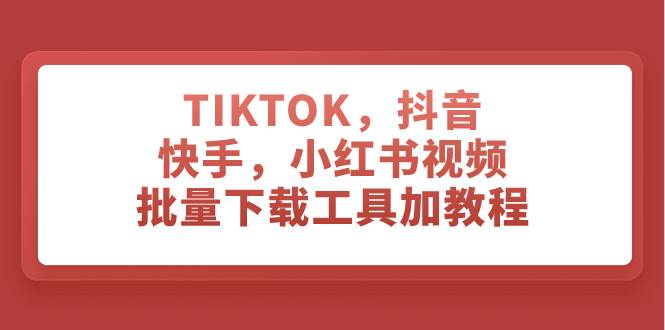 TIKTOK，抖音，快手，小红书视频批量下载工具加教程插图