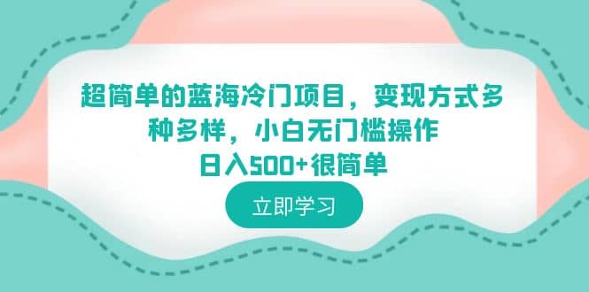 超简单的蓝海冷门项目，变现方式多种多样，小白无门槛操作日入500+很简单插图