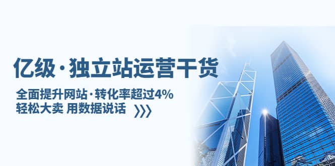 独立站运营干货：全面提升网站·转化率超过4%，轻松大卖 用数据说话插图