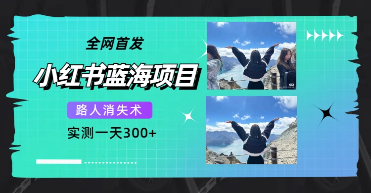 全网首发，小红书蓝海项目，路人消失术，实测一天300+（教程+工具）插图