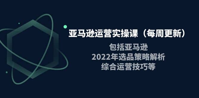 亚马逊运营实操课（每周更新）包括亚马逊2022选品策略解析，综合运营技巧等插图