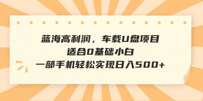 蓝海高利润，车载U盘项目，适合0基础小白，一部手机轻松实现日入500+插图