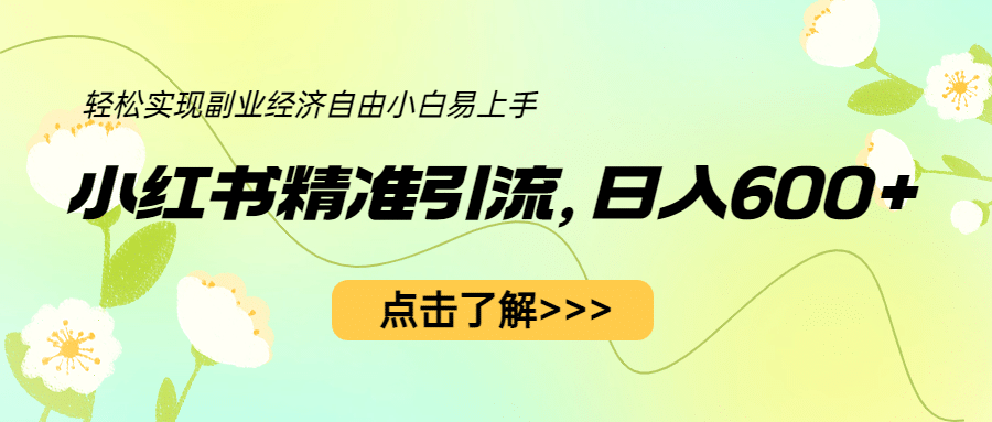 小红书精准引流，小白日入600+，轻松实现副业经济自由（教程+1153G资源）插图