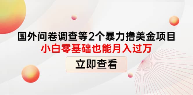 国外问卷调查等2个暴力撸美元项目，小白零基础也能月入过万插图