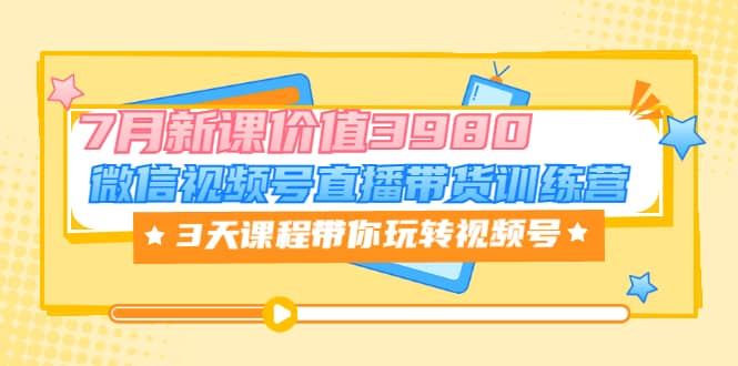 微信视频号直播带货训练营，3天课程带你玩转视频号：7月新课价值3980插图