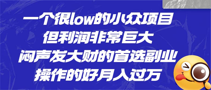 一个很low的小众项目，但利润非常巨大，闷声发大财的首选副业，月入过万插图