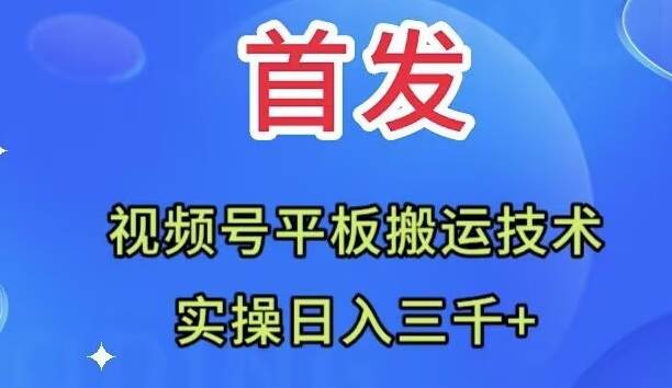 全网首发：视频号平板搬运技术，实操日入三千＋插图