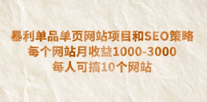 暴利单品单页网站项目和SEO策略 每个网站月收益1000-3000 每人可搞10个插图