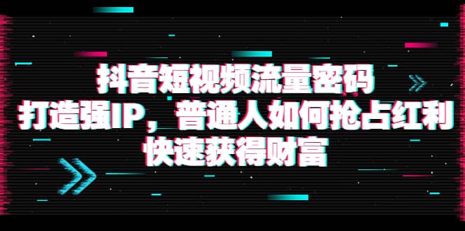 抖音短视频流量密码：打造强IP，普通人如何抢占红利，快速获得财富插图