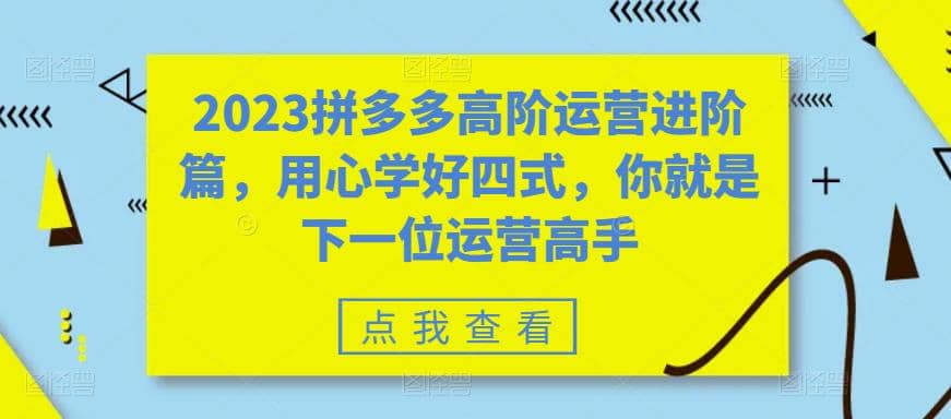 2023拼多多高阶运营进阶篇，用心学好四式，你就是下一位运营高手插图