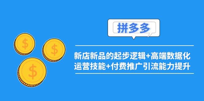 2022拼多多：新店新品的起步逻辑+高端数据化运营技能+付费推广引流能力提升插图