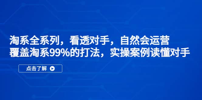 淘系全系列，看透对手，自然会运营，覆盖淘系99%·打法，实操案例读懂对手插图