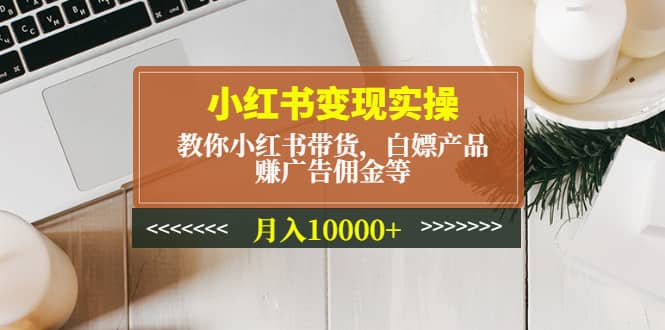 小红书变现实操：教你小红书带货，白嫖产品，赚广告佣金等插图