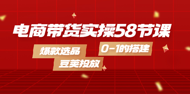 电商带货实操58节课，爆款选品，豆荚投放，0-1的搭建插图