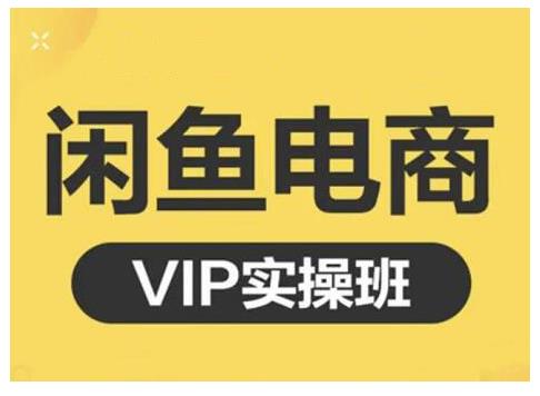 闲鱼电商零基础入门到进阶VIP实战课程，帮助你掌握闲鱼电商所需的各项技能插图