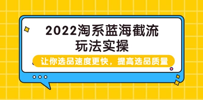 2022淘系蓝海截流玩法实操：让你选品速度更快，提高选品质量（价值599）插图