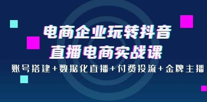 电商企业玩转抖音直播电商实战课：账号搭建+数据化直播+付费投流+金牌主播插图