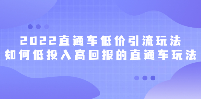 2022直通车低价引流玩法，教大家如何低投入高回报的直通车玩法插图