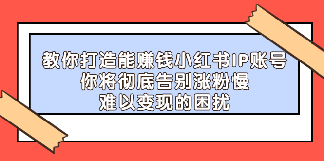 教你打造能赚钱小红书IP账号，了解透彻小红书的真正玩法插图