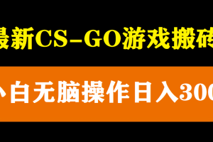 最新csgo游戏搬砖游戏，无需挂机小白无脑也能日入300+