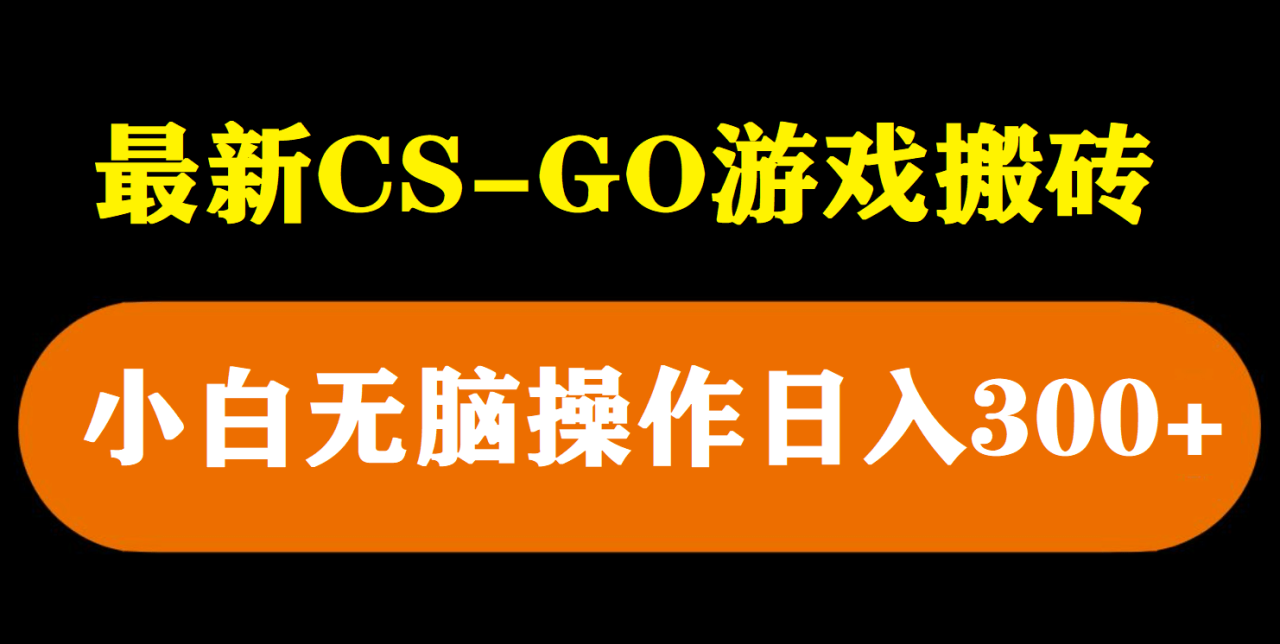 最新csgo游戏搬砖游戏，无需挂机小白无脑也能日入300+插图