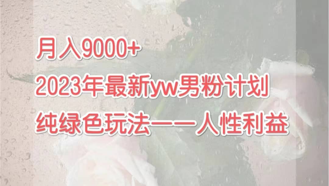 月入9000+2023年9月最新yw男粉计划绿色玩法——人性之利益插图