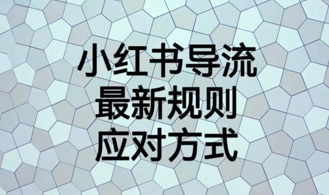 小红书导流最新规则应对方式【揭秘】插图