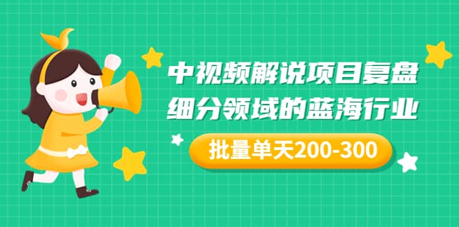 某付费文章：中视频解说项目复盘：细分领域的蓝海行业 批量单天200-300收益插图