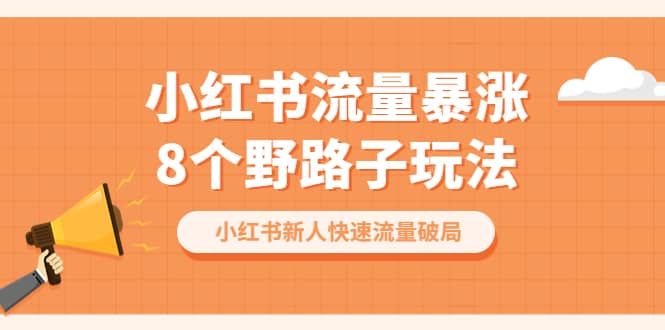 小红书流量-暴涨8个野路子玩法：小红书新人快速流量破局（8节课）插图