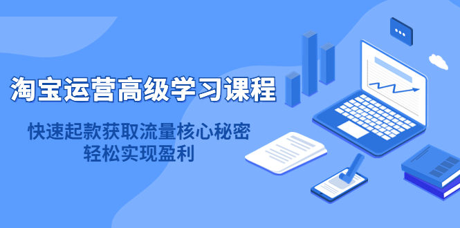 淘宝运营高级学习课程：快速获取流量核心秘密，轻松实现盈利！插图