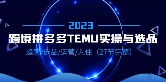 2023跨境·拼多多·TEMU实操与选品，趋势·选品·运营·入住（27节完整）插图