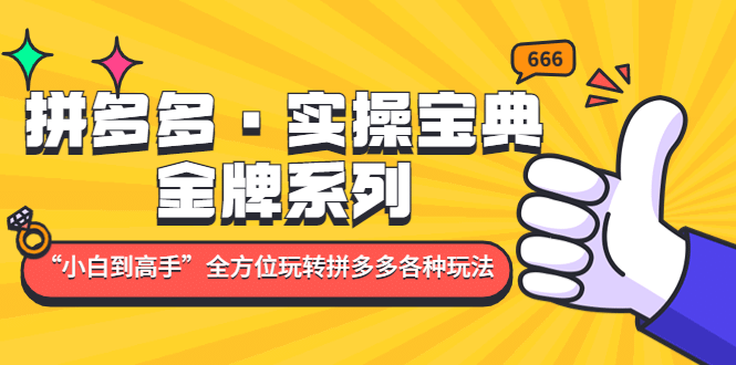 拼多多·实操宝典：金牌系列“小白到高手”带你全方位玩转拼多多各种玩法插图