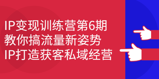 IP变现训练营第6期：教你搞流量新姿势，IP打造获客私域经营插图