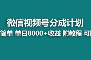 【蓝海项目】视频号分成计划，单天收益8000+，附玩法教程！可陪跑