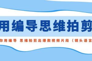 用编导的思维拍剪，教你用编导 思维拍剪出爆款视频片段（镜头语言）