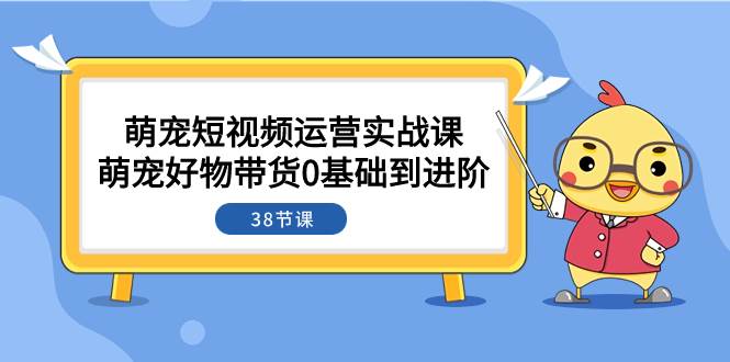 萌宠·短视频运营实战课：萌宠好物带货0基础到进阶（38节课）插图