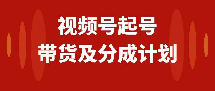 视频号快速起号，分成计划及带货，0-1起盘、运营、变现玩法，日入1000+插图