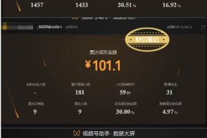 视频号快速起号，分成计划及带货，0-1起盘、运营、变现玩法，日入1000+