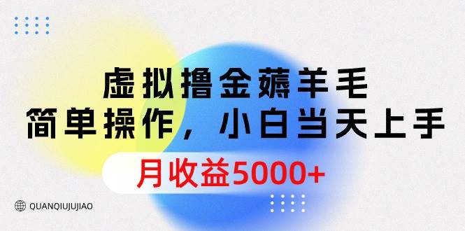 虚拟撸金薅羊毛，简单操作，小白当天上手，月收益5000+插图