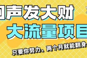 闷声发大财，大流量项目，月收益过3万，只要你努力，两个月就能翻身