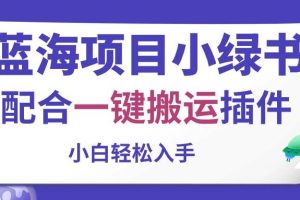 蓝海项目小绿书，配合一键搬运插件，小白轻松入手