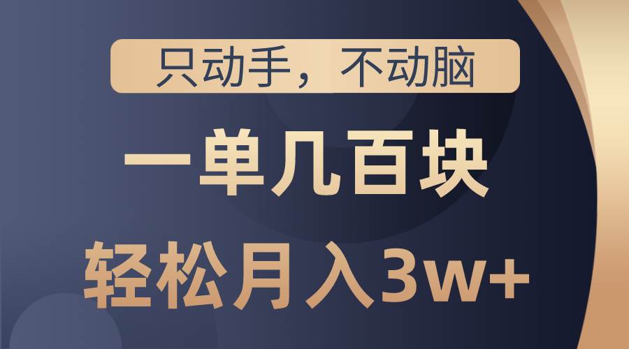 只动手不动脑，一单几百块，轻松月入3w+，看完就能直接操作，详细教程插图