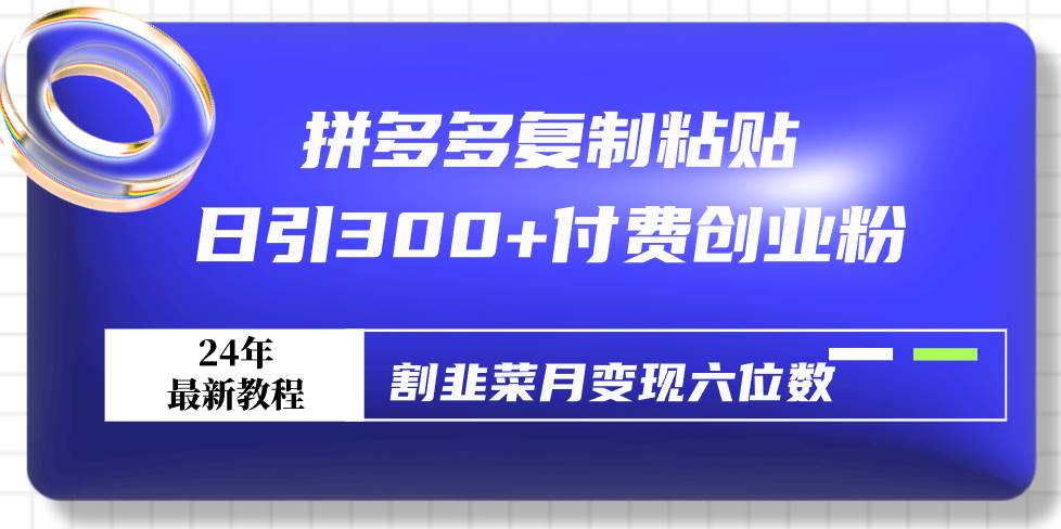 拼多多复制粘贴日引300+付费创业粉，割韭菜月变现六位数最新教程！插图