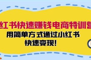 小红书快速赚钱电商特训营：用简单方式通过小红书快速变现！